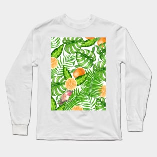 Tropical pattern, hummingbirds II Long Sleeve T-Shirt